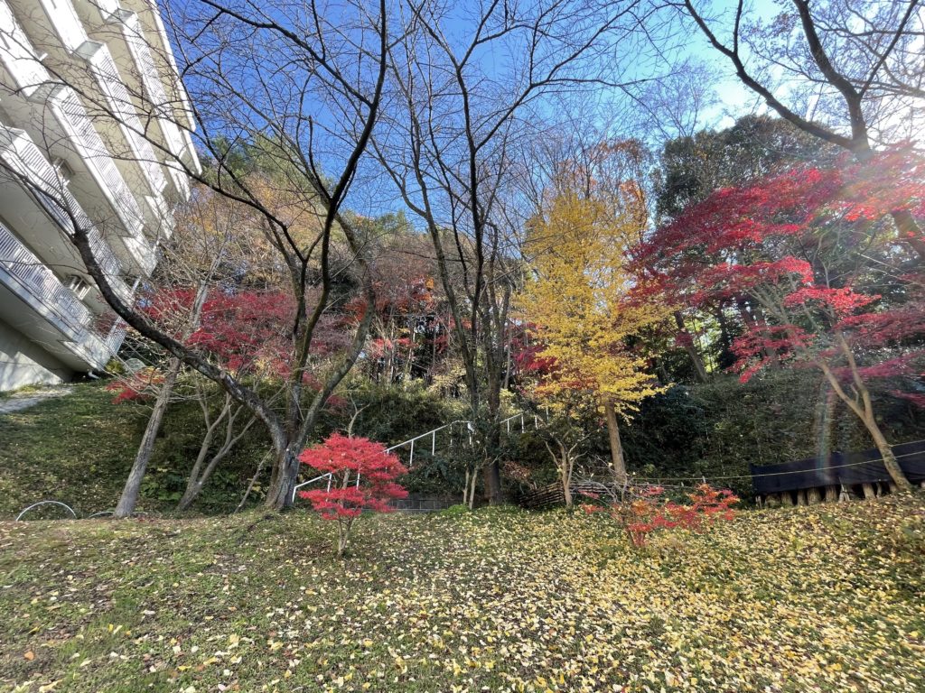 紅葉時の美しい広場